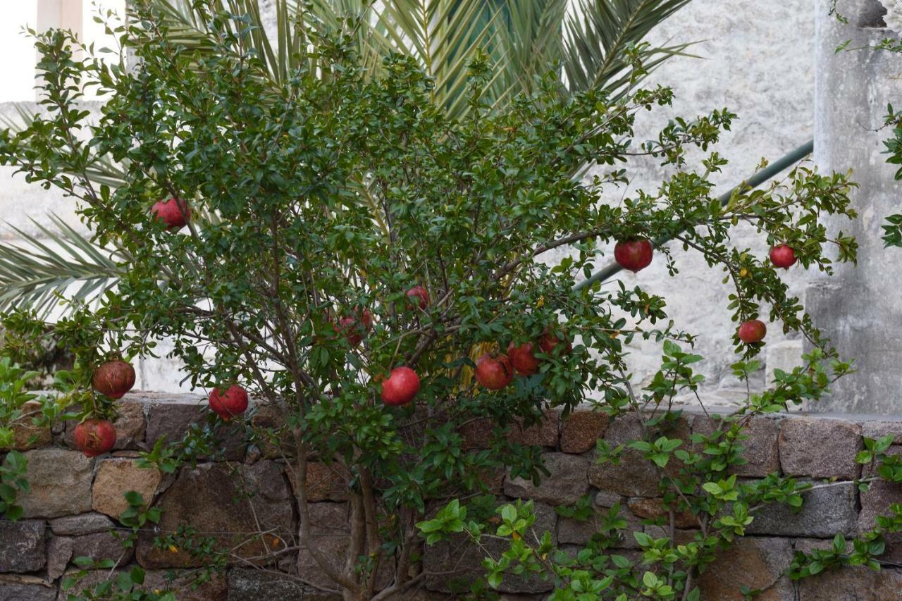 Villa Aegina Dorfhaus Pakhia Rakhi Exterior foto